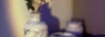 Теперь мое любимое комбо для зеленых глаз: MAC Pro Longwear Paint Pot в оттенке bougle и тени для век Novo в оттенке 02