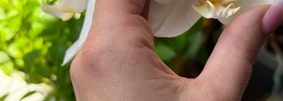 Любимый уход за губами: Shik total repair balm