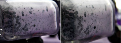 El Corazon Eggs of wilds birds №423/95