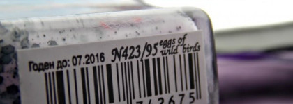 El Corazon Eggs of wilds birds №423/95