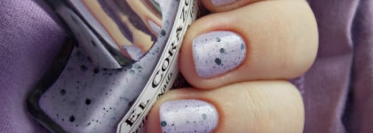 El Corazon Eggs of wilds birds №423/95