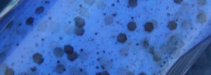 El Corazon Active Bio-gel Color gel polish Easter Eggs 423/99