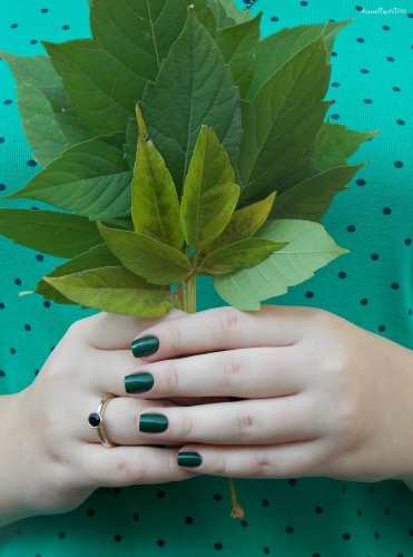 Nubar Nail Lacquer Ngg225 Forest