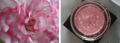 Giorgio Armani eyes to kill intense eye shadow Rose Titanium № 29 (Acqua collection summer 2012, limited edition)