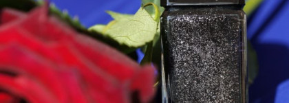 Illamasqua nail varnish "Creator"