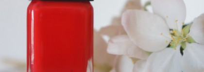 Illamasqua nail varnish "Aorta"