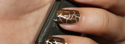 Duo Vernis Or & Top Coat Fini Croco