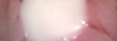 Не знаешь как помочь волосам? Возьми на помощь хороший бальзам