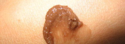 Такой желанный Organic Shop