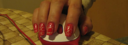 Мой красный крокодил Aurelia Magnifique Crack'ajour #01