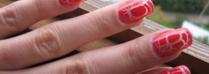 Мой красный крокодил Aurelia Magnifique Crack'ajour #01