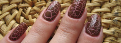 Шоколадный крокодил Aurelia Magnifique Crack'ajour #03