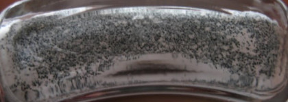 Бело-черные фантазии с El Corazon Active Biogel Color gel polish #423/81 dalmatian