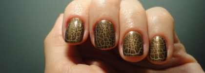 Обожаемый Dior Golden Jungle Vernis  Duo