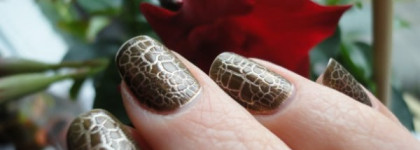 Обожаемый Dior Golden Jungle Vernis  Duo