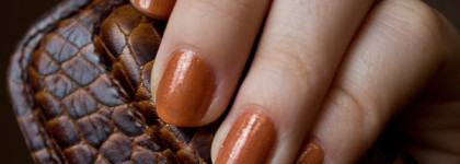 Для тех, кто купил и разочаровался — Essence Сolour&go 119 Boho chic