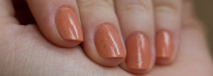 Для тех, кто купил и разочаровался — Essence Сolour&go 119 Boho chic