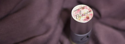 Мой весенний вариант (upd)