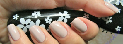 И соло, и дуэт