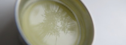 Кокос с мандарином и лаймом. Greenland