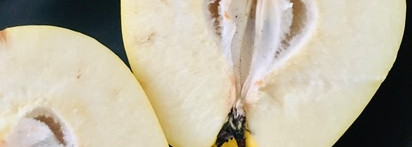 Две завершённые истории... Chanel