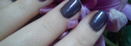 Единственный и неповторимый Paradoxal