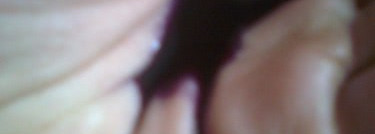 Всем блондинистым посвящается: Concept Profy Touch  silver shampoo for light-blond & blonded hair