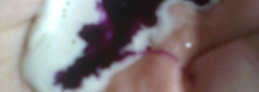 Всем блондинистым посвящается: Concept Profy Touch  silver shampoo for light-blond & blonded hair