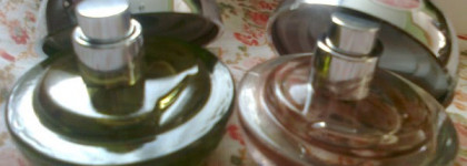 Мои наливные яблочки от Dkny