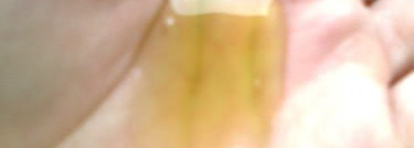 3 продукта для волос от Yves Rocher