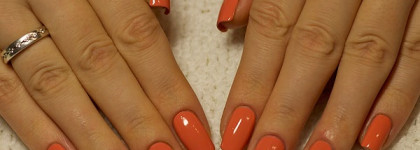 El Corazon Termo №23