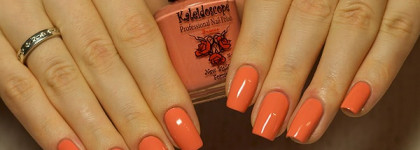 El Corazon Termo №23