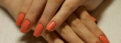 El Corazon Termo №23