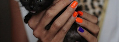 Имеет ли право на жизнь China Glaze Orange Knockout+Creative Fantasy