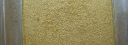 Лимонная горчица?! Тени Absolute Eye Colour Mono  в оттенке 620 Inglorious Mustards от Catrice