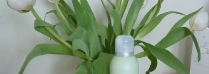 Свежесть и нежность с Rituals  "T'ai Chi White lotus and green tea" shower foam