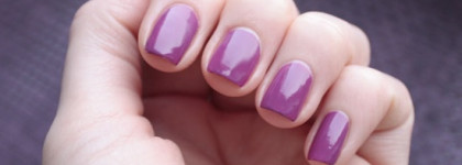 Golden Rose Rich Color #14