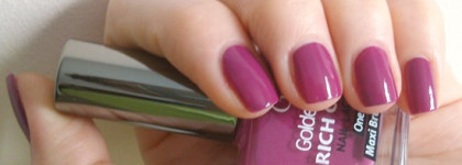 Golden Rose Rich Color #14