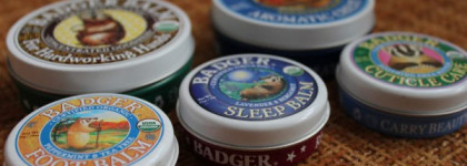 Очаровательные барсучки Badger