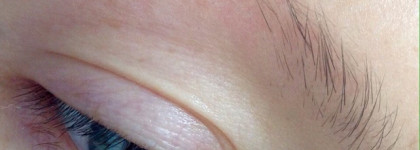 Guerlain Ecrin Sourcils Eyebrow Kit 00 universel