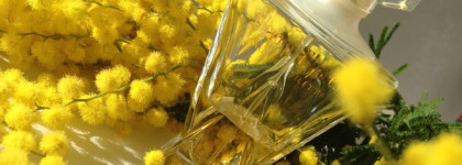 Guerlain "Champs Elysées" Edt - Моя весна во флаконе