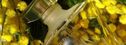 Guerlain "Champs Elysées" Edt - Моя весна во флаконе