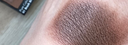 Estee Lauder Pure Color Envy Defining Eye Shadow 01 Brash Bronze - Luminous - идеальная бронза для моих глаз