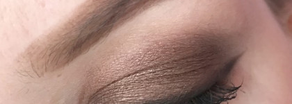 Estee Lauder Pure Color Envy Defining Eye Shadow 01 Brash Bronze - Luminous - идеальная бронза для моих глаз