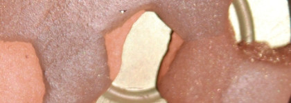 «Поцелуй солнышка» круглый год вместе с любимыми бронзерами