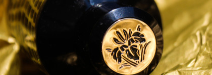 Wild Python Mancera edp - моя ручная рептилия