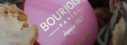 Морозный румянец вместе с Bourjois Blush в оттенке 34 Rose D’Or