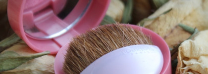 Морозный румянец вместе с Bourjois Blush в оттенке 34 Rose D’Or