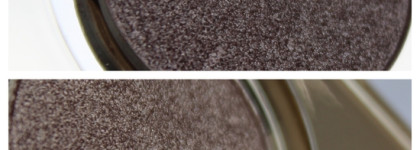 Незаслуженно обделенные вниманием тени Bernovich creative 174