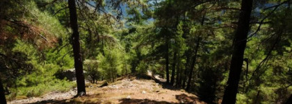 К Ливийскому морю, в погоне за летом